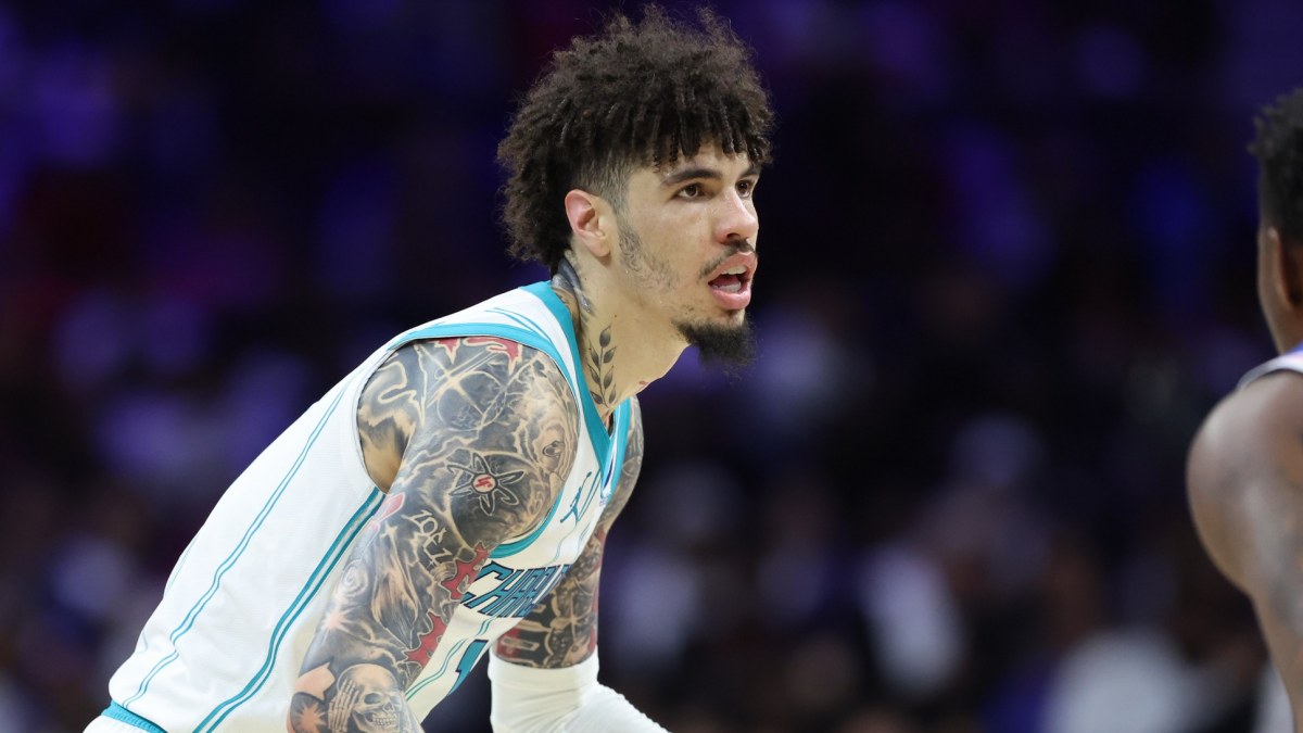 Vie31 Lamelo Dos